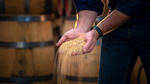 Hand crafted small batch whisky starts from Tasmanian malted barley