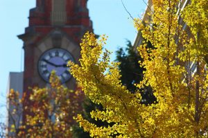 Launceston in Autumn